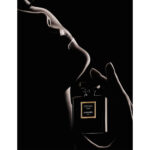Chanel Coco Noir EdP Flasche und Visual - Parfümerie Digi-markets