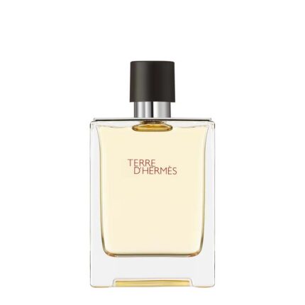 Hermès Terre d&#039;Hermès EdT image du produit flacon 100ml - Parfumerie Digi-markets