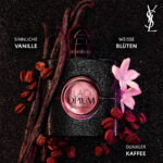 Yves Saint Laurent Black Opium EdP Produktbild 50ml Flasche und Duftnoten - Parfümerie Digi-markets