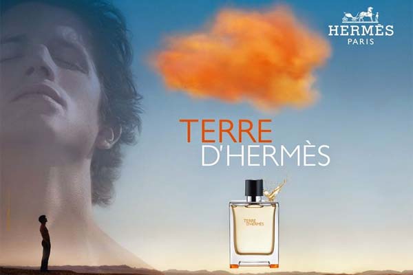 Hermes Terre d´Hermes Bild