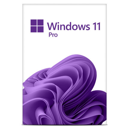 Windows 11 Pro ESD Download