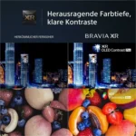 Sony Fernseher