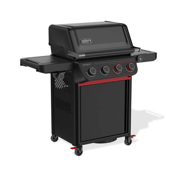 Weber Gasgrill