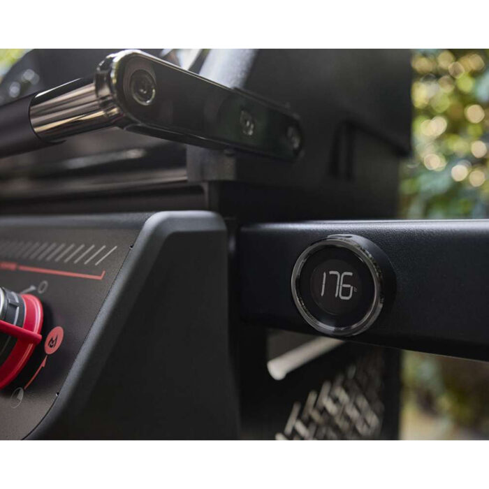 Weber Gasgrill