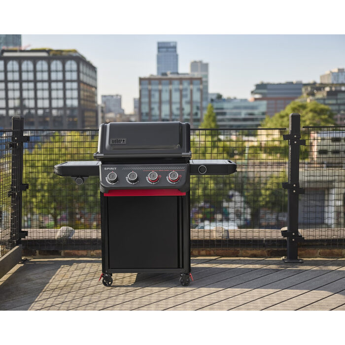 Weber Gasgrill